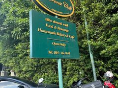 -Fern Forest Cafe