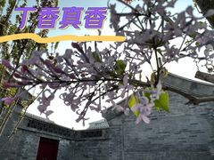 -圆通禅寺