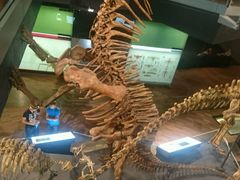 -墨尔本博物馆(Melbourne Museum)
