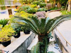 景观位-Wagas沃歌斯(大学路店)