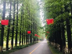 -金岛生态园烧烤露营地