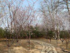 -马家湾湿地公园