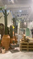 -好看加白色房子