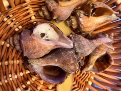 -千岛蚝高压锅生蚝·人参火锅(白云万达店)