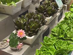 -九孔·筒骨莲藕汤锅(大明宫万达店)