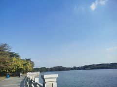 -海珠湖公园