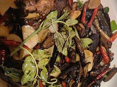 -滇铺子·云南特色菜·第九届野生菌美食节(东风东路c86店)
