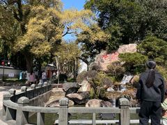 -江心屿景区