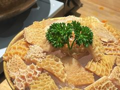 新西兰豪气金钱肚-毛肚向右·川渝毛肚王(经开永旺店)