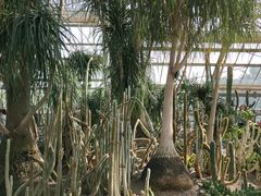 -南山植物园