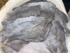 -大龙燚火锅(春熙店)