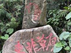 -广州长隆野生动物世界