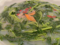 上汤豆苗-有腥气私房菜·寻味顺德