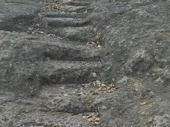 -赭山公园