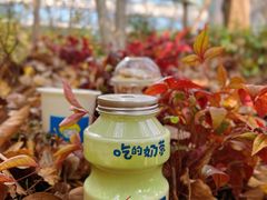 -快乐柠檬happylemon(日月光店)