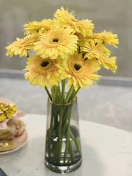 -JC·YOGA静禅瑜伽普拉提