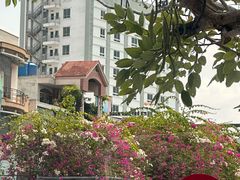 -芽庄大教堂