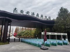 -黄海国家森林公园