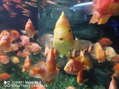 -福州罗源湾海洋世界旅游区