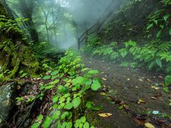 -西岭雪山大飞水景区