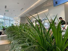 -Seesaw Coffee(朝阳大悦城店)