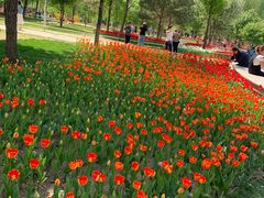 -长春公园(普阳街道)