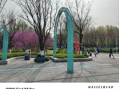 -张店儿童公园