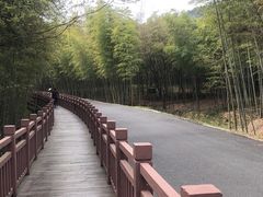 -游子山休闲旅游区