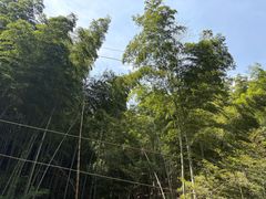 -会稽山峡洞漂流-上青古道