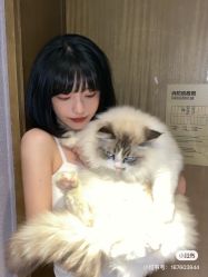 -时尚殿堂明星门店