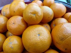 -望湖楼餐厅(白廊码头店)