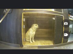 -宠宠熊宠物美容(星湖街店)