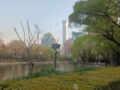 -团结湖公园