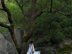 -少华山国家森林公园