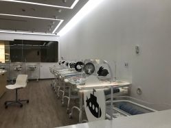 -海豚湾高端月子会所(黄浦店)