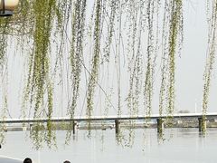 -咸阳湖景区