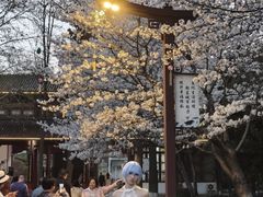 -堤角公园