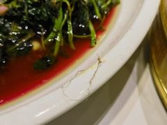 -刘胖子家常菜·蹄花焖藕(中南店)