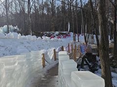 -洛阳白云山景区