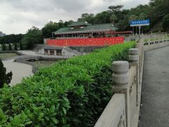 -三水森林公园
