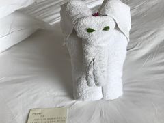 -三亚亚龙湾雅高铂尔曼别墅度假酒店