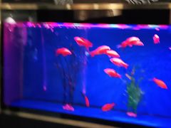 -蜀锦堂·川味现炒(襄阳武商汇店)