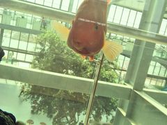 -南通洲际绿博园