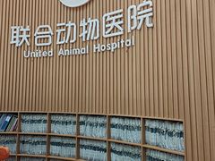 -联合动物医院(光谷诊疗中心)