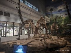 -自贡恐龙博物馆