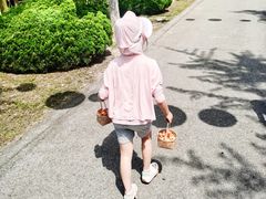 -菊园百果园