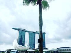 -鱼尾狮公园