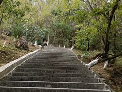 -分塔山省级森林公园