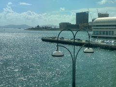 -Cupping Room(Harbour City)