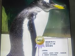 -杭州长乔极地海洋公园
